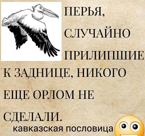 3 ПЕРЬЯ СЛУЧАЙНО ПРИЛИПШИЕ К ЗАДНИЦЕ НИКОГО ЕЩЕ ОРЛОМ НЕ СДЕЛАЛИ кавказская пословица