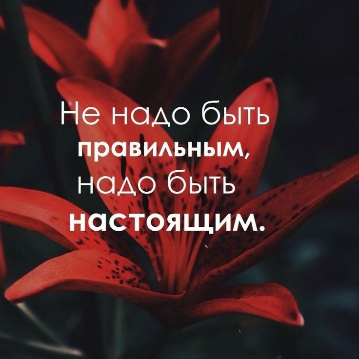 Не надо быть правимным НОАО быть настоящим