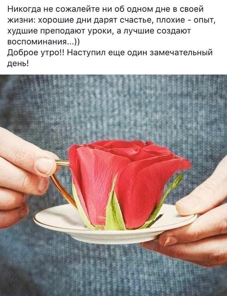 Никогда не сожапейте ни об одном дне в своей жизни хорошие дни дарят счастье плохие опыт худшие преподают уроки а лучшие создают воспоминания Доброе утро Наступил еще один замечательный