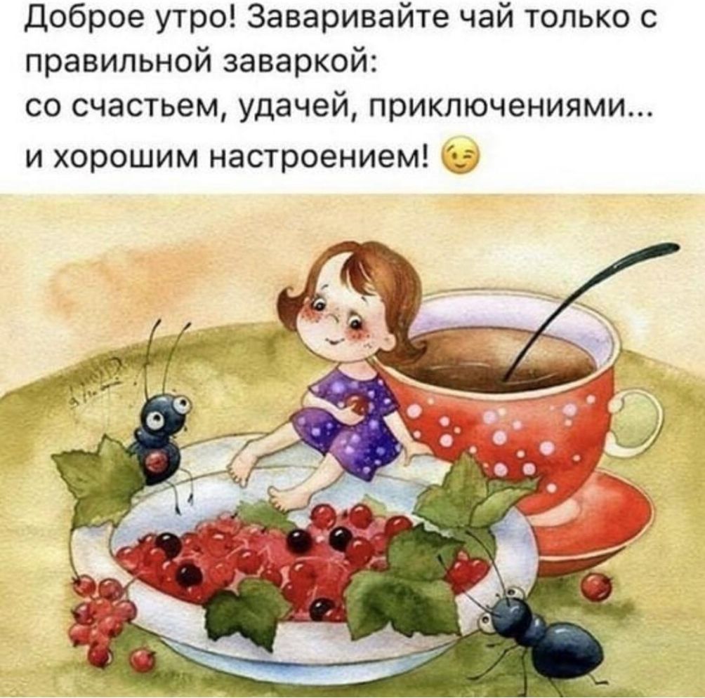 Доброе утро Заваривайте чай только с правильной заваркой со счастьем удачей приключениями и хорошим настроением