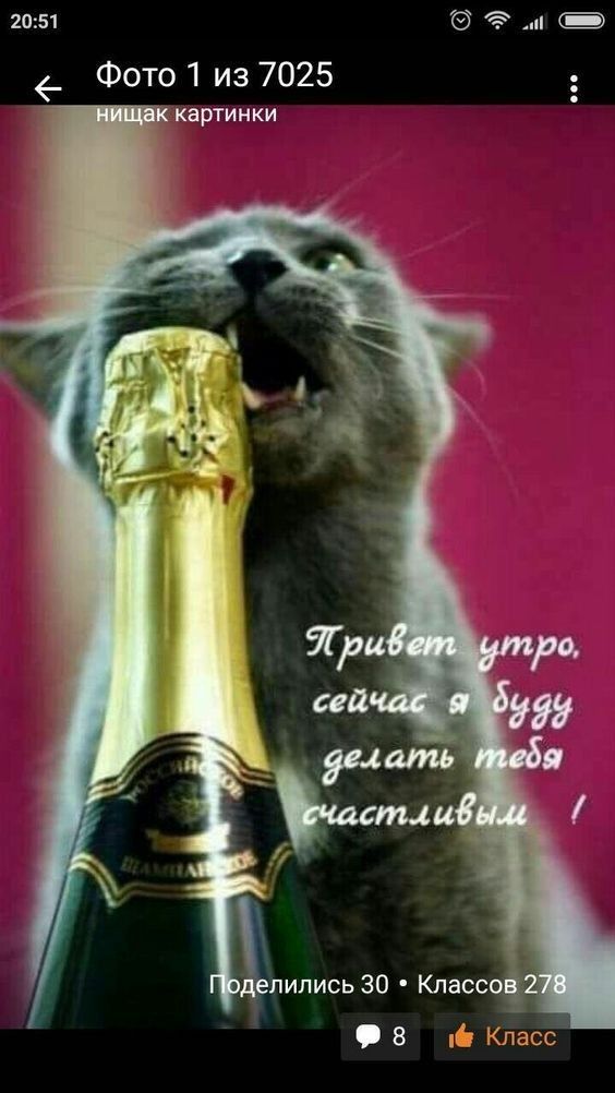 2051 и Фото1 из 7025 7 картин КИ