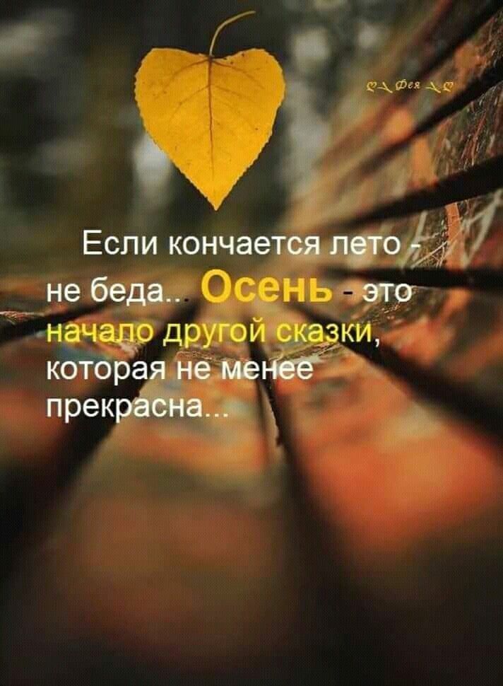 Если кончаетшпо _ не беда 3 _ науч друпэи езжу кбібра шт прек мт