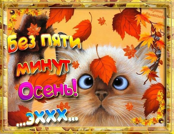ь изгнали г питт