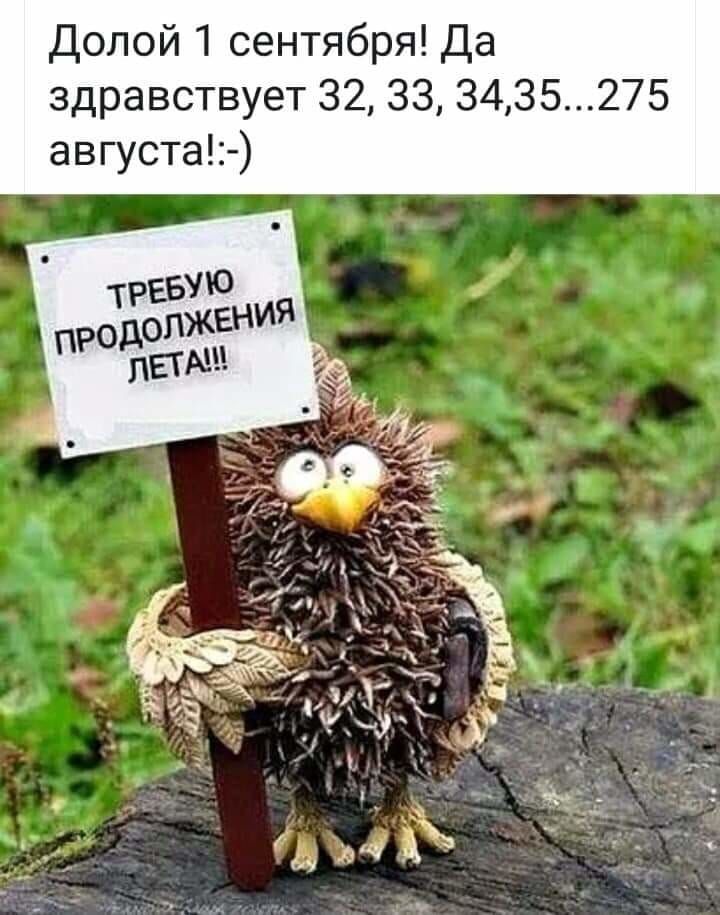 Долой 1 сентября Да здравствует 32 33 3435275 августа