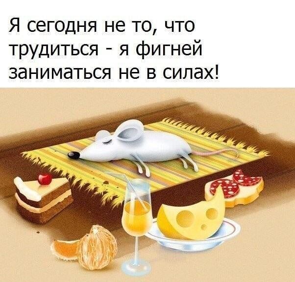 Я сегодня не то что трудиться я фигней заниматься не в силах