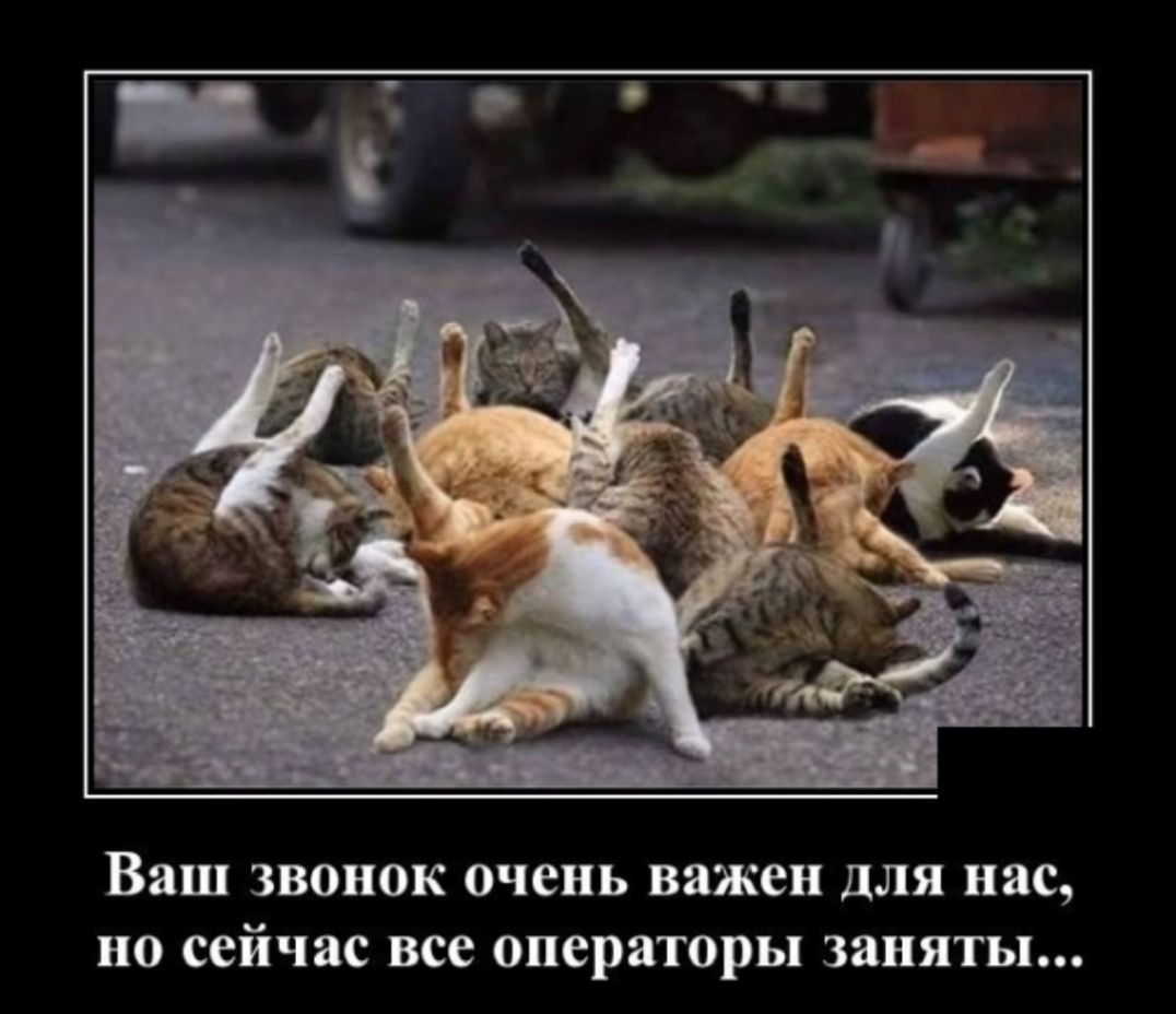 Ваш звонок очень важен для нас но сейчас все операторы заняты