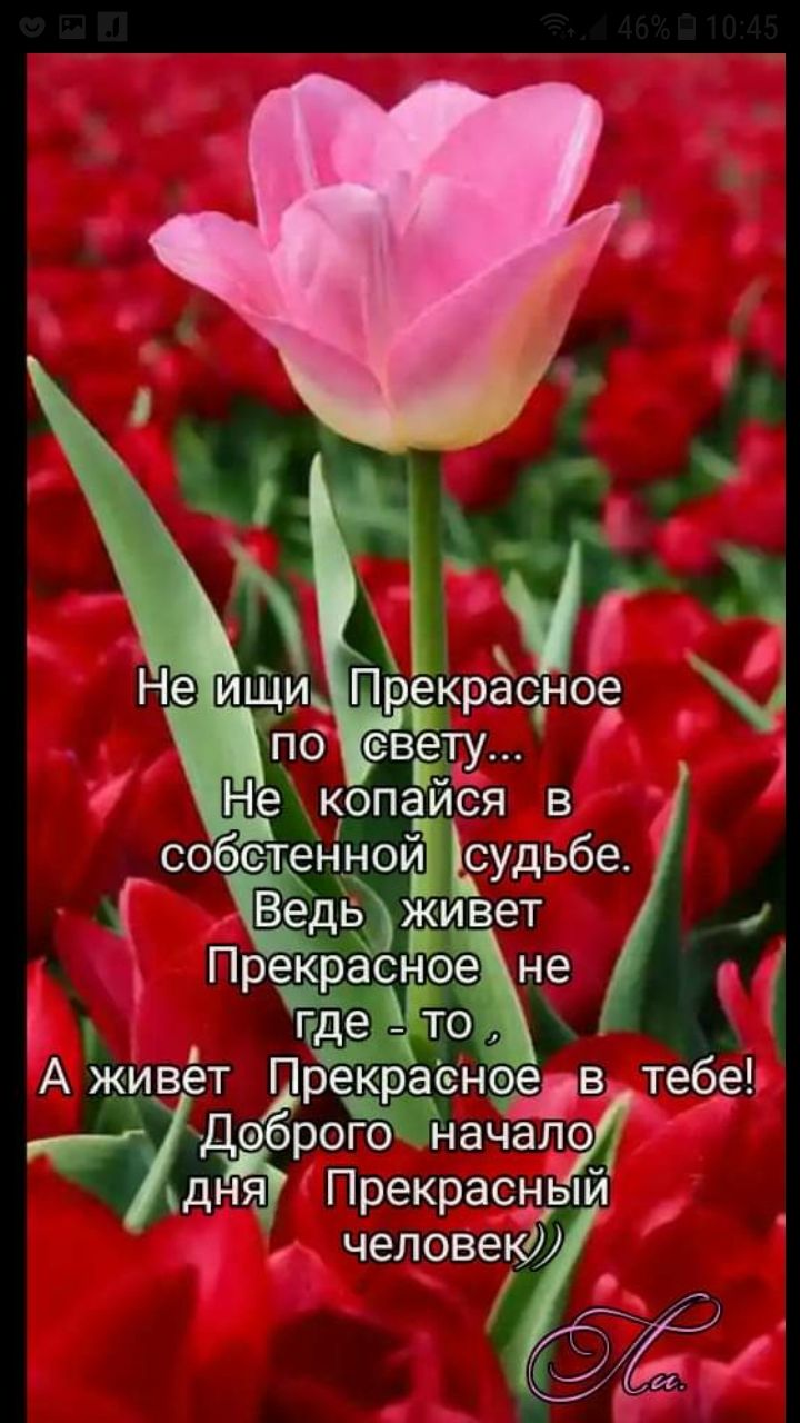 Вед53живет Прекрасное не а где тод А живёт Прекраснре тебе и доЁроЁЁ начЁЁо дня Прекрасный собёен нои Ирудьбе _