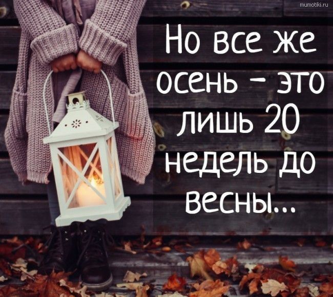 Но все же осень это лишь 20 недель до весны __ д ддтд іс г Я