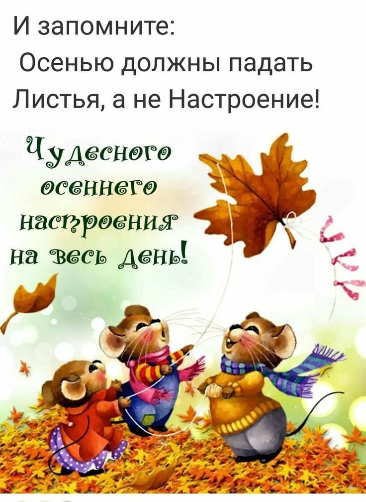 И запомните Осенью должны падать Листья а не Настроение дудесногд осеннего Ёш Насирэениж на гвееь день