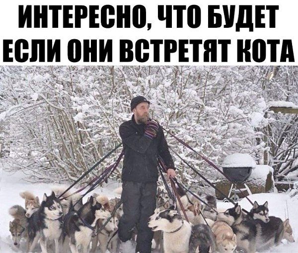 ИНТЕРЕБНВ что БУДЕТ Если они ВВТРПЯТ ШПД