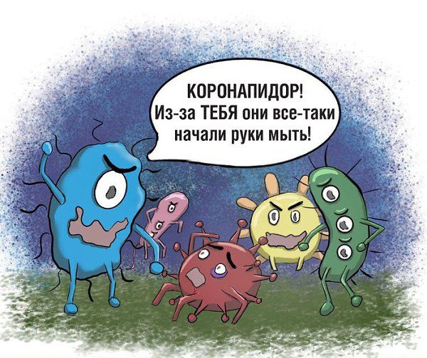 КОРОНАПИДОР Из за ТЕБЯ они все таки начали руки мыть