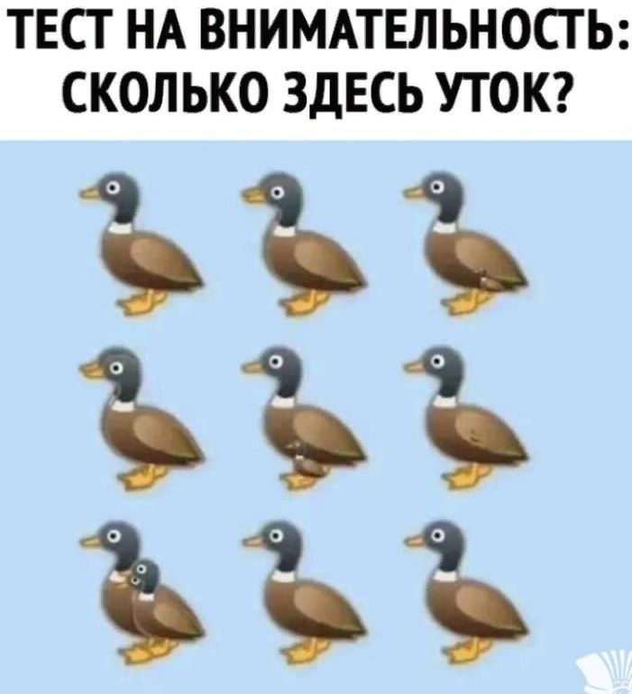 ТЕСТ НА ВНИМАТЕЛЬНОСТЬ СКОЛ ЬКО ЗДЕСЬ УТОК 333 33 333