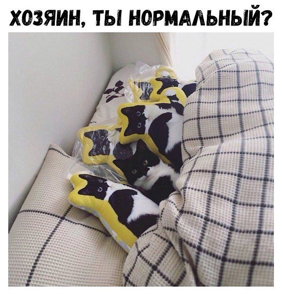 хозяин ты норммьный