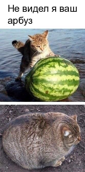 Не видел я ваш