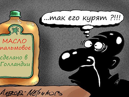 сделано 6 Г шит дми 4 Мок ь