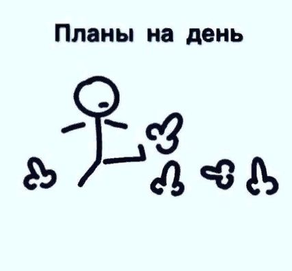 Планы на день 9 дёа