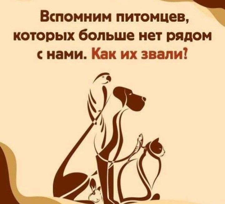 Вспомним питомцев которых больше нет рядом нами Как их звали