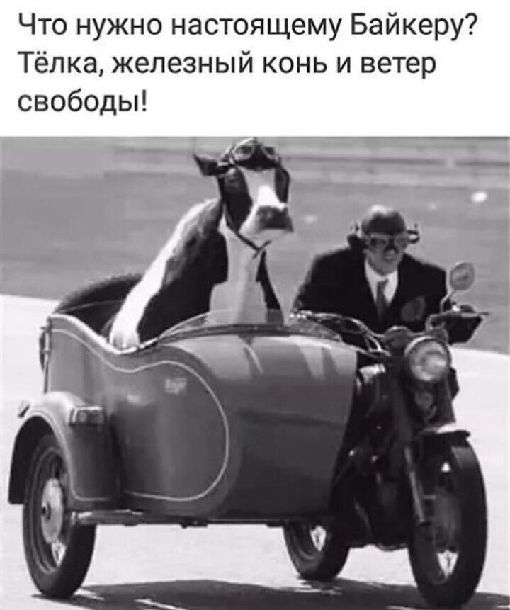 Что нужно настоящему Байкеру Тёлка железный конь и ветер свободы