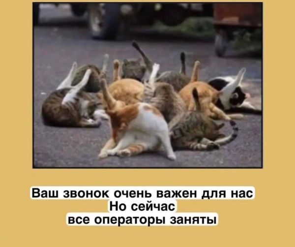 Баш звонок очень важен для нас Но сеичас все операторы заняты