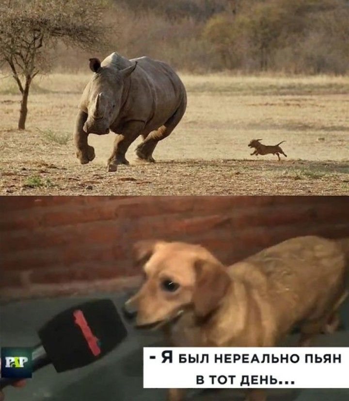 Я БЫЛ нгрвдльно пьян в тот день