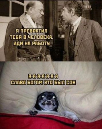 я ппцвптил тия Щуки или ип яявптн _апшшшшшш