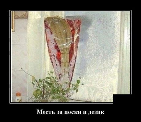 0 шк ш п ь с о Ь
