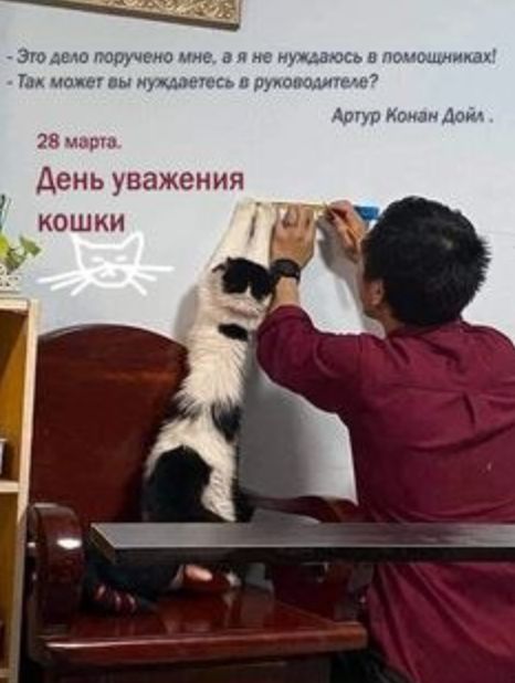 День уважения кошки