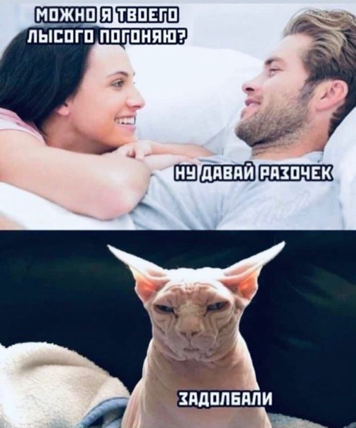 ишкин Ш