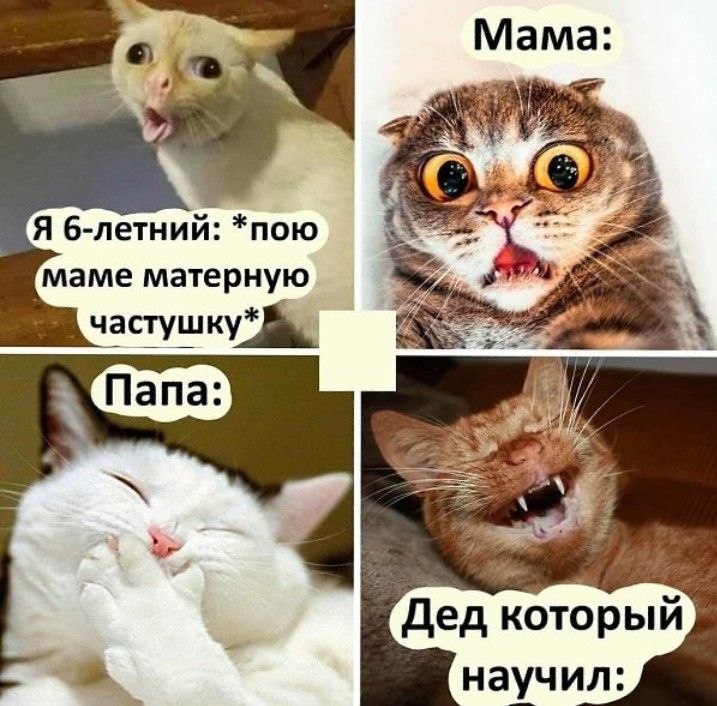 Я 6 летний пою маме матерную частушку Дед который научил