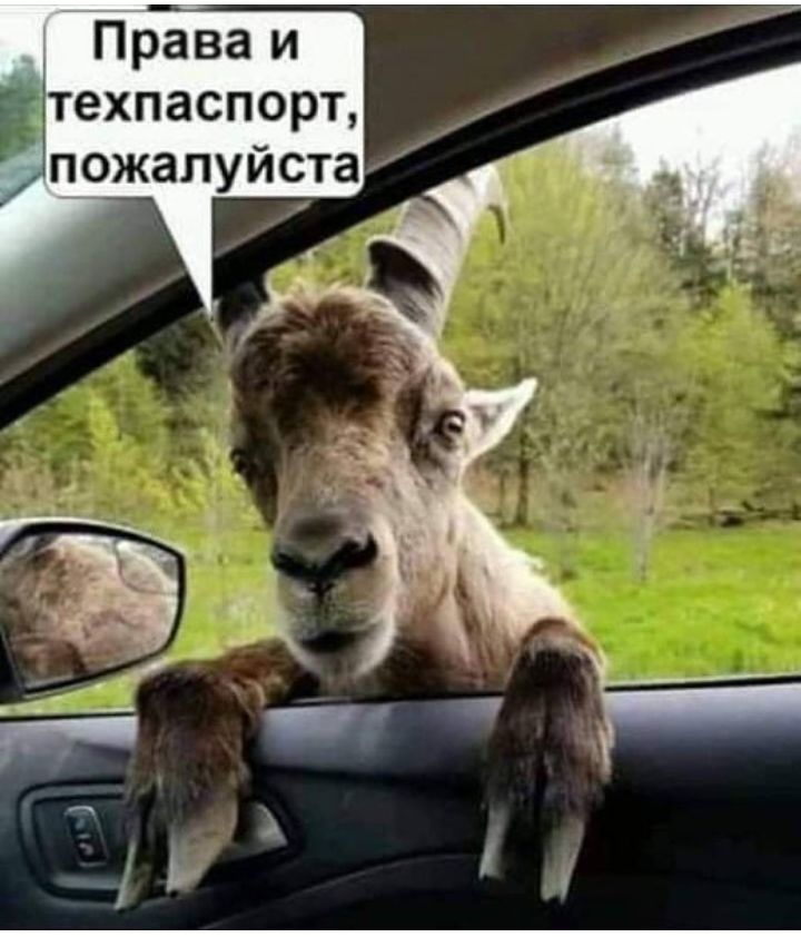 Права и техпаспорт пожалуйста