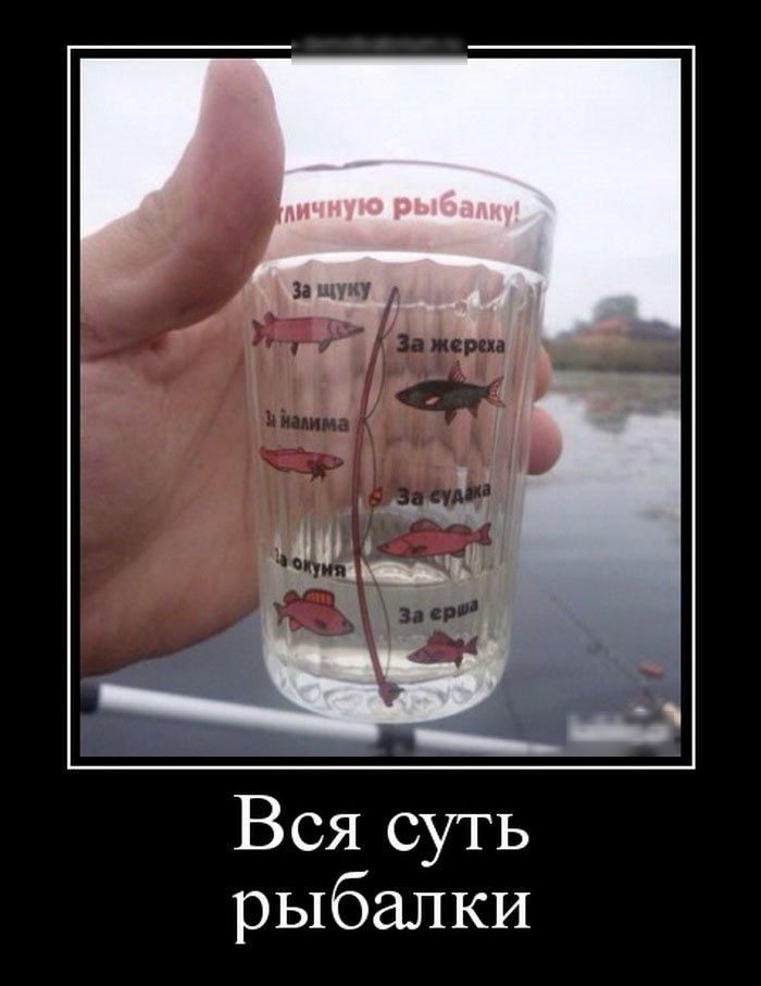 Вся суть рыбалки