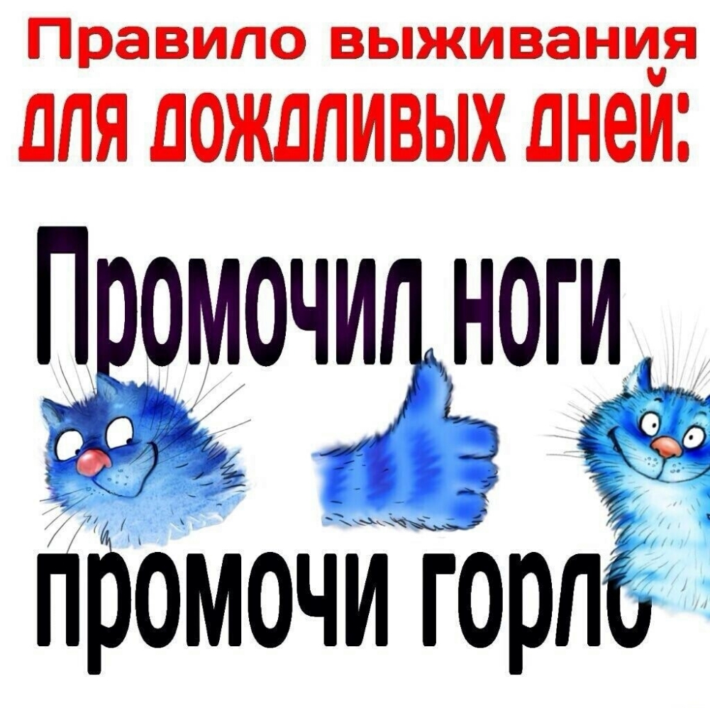 Правило выживания ДЛЯ ЛОЖЛЛИВЫХ ДНЕЙ П омочтоги пббмочи горд