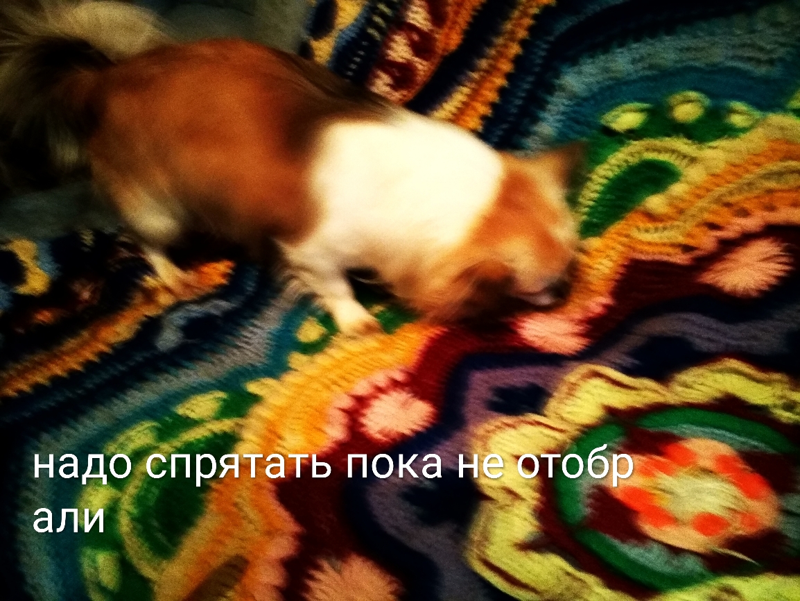 надо спрятать поканётцбдр али