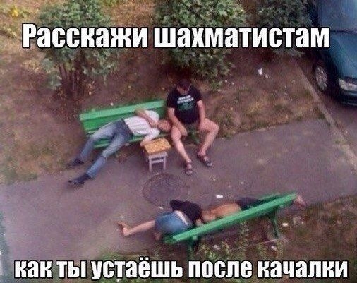 а0снаіни шахматистам Фёх И М иаи ТЫ ЮТВЁШЬ ПЁСПВ качалки