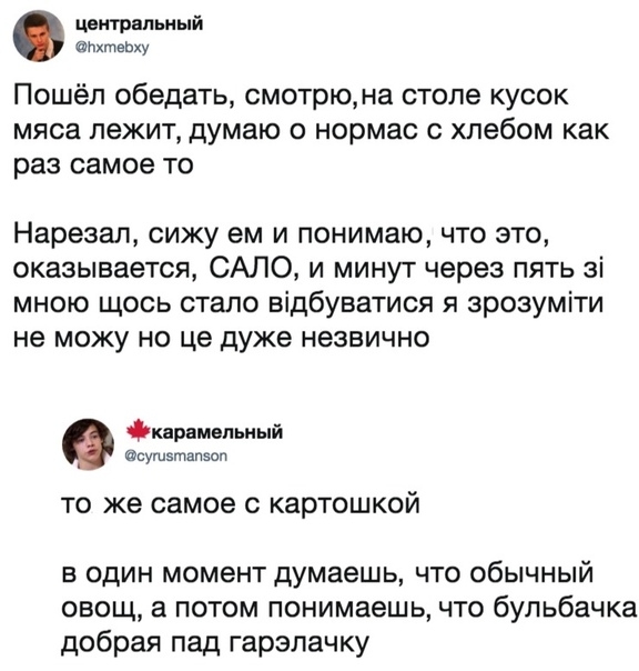 центральный Пхтвоху Пошёл обедать смотрюна стопе кусок мяса лежит думаю о нормас хлебом как раз самое то Нарезал сижу ем и понимаю что это оказывается САЛО и минут через пять зі мною щось стало відбуватися я зрозуміти не можу но це дуже незвично Фкнремепьиый Сушэтапэоп то же самое с картошкой в один момент думаешь что обычный овощ а потом понимаешь что бульбачка добрая пад гарэлачку