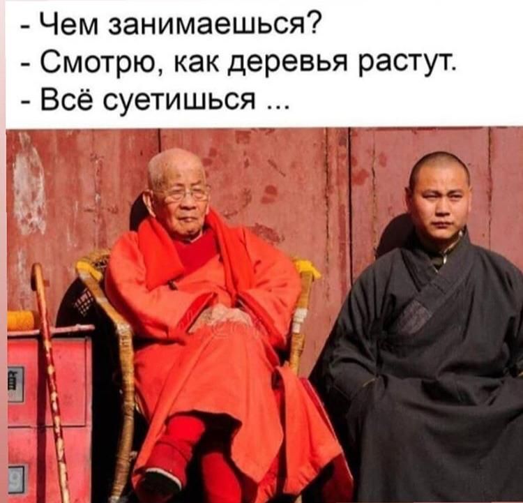 Чем занимаешься Смотрю как деревья растут Всё суетишься