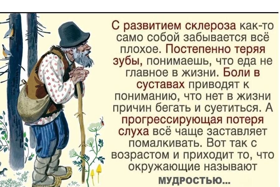 С развитием склероза как то само собой забывается всё плохое Постепенно теряя зубы понимаешь что еда не главное в жизни Боли в суставах приводят к пониманию что нет в жизни причин бегать и суетиться А прогрессирующая потеря слуха всё чаще заставляет помалкивать Вот так с возрастом и приходит то что окружающие называют МУДРОСТЬЮ