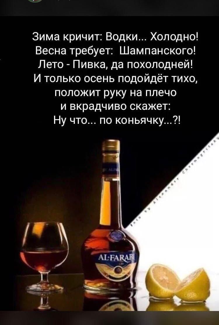 Зима кричит: Водки... Холодно!
Весна требует: Шампанского!
Лето - Пивка, да похолодней!
И только осень подойдёт тихо,
положит руку на плечо
и вкратчиво скажет:
Ну что... по коньячку...?!