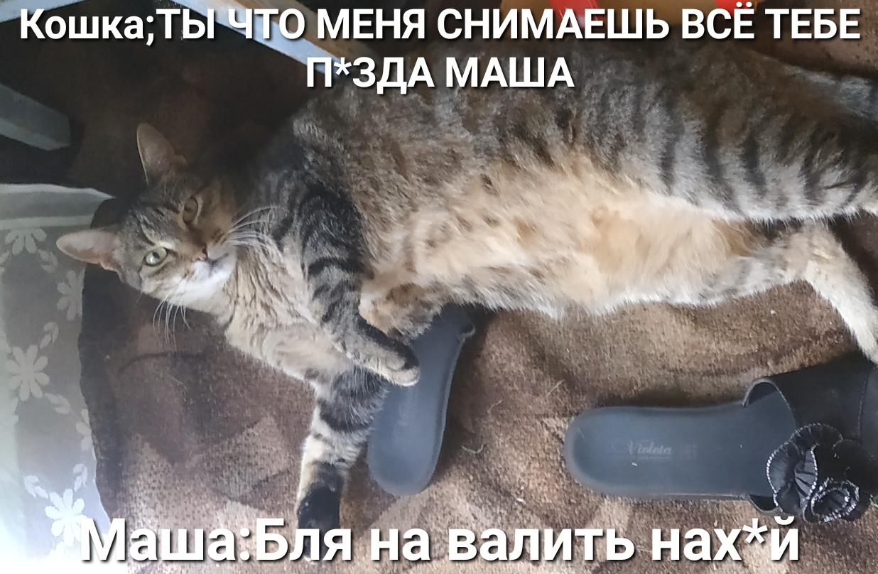 ГошкаТі2ЕНЯ СНИМАЕШЬ всЁ ТЕБЕ _ЗдА МАША