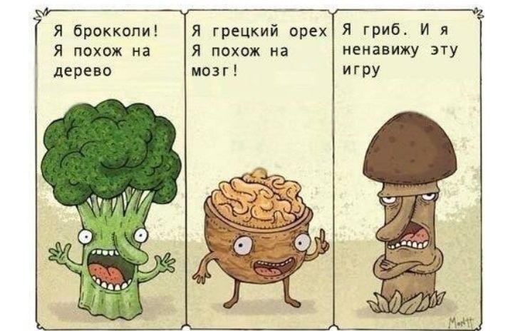 Я брокколи я грецкий орех Я гриб И я Я похож на Я похож на ненавижу эту дерево мозг игру и 1 4