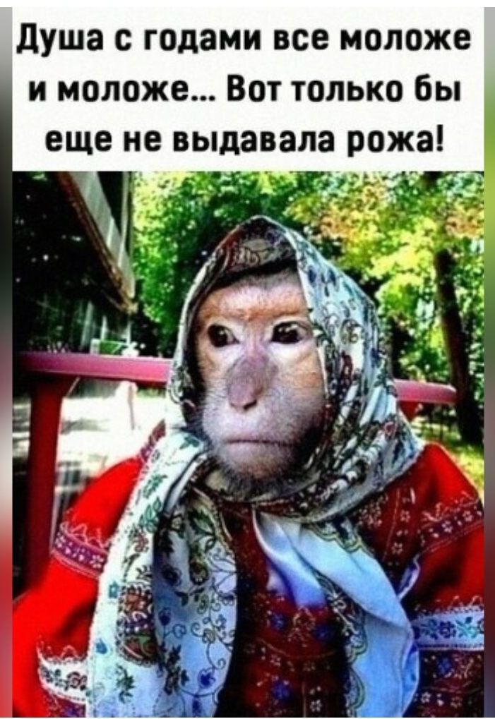 душа с годами все моложе и моложе Вот только бы еще не выдавала рожа
