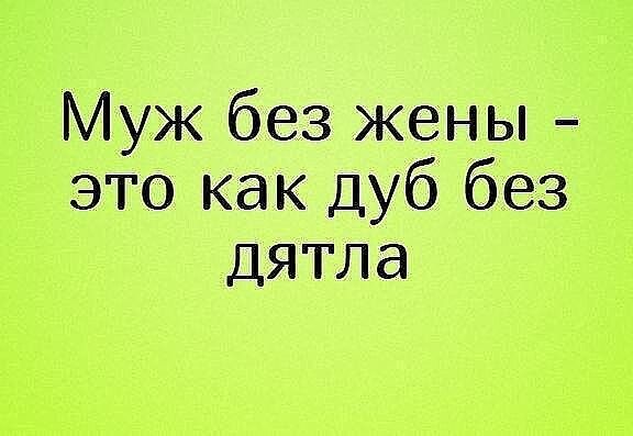 Муж без жены это как дуб без дятла