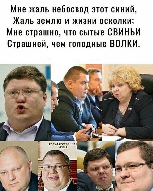 Мне жаль небосвод этот синий Жаль землю и жизни осколки Мне страшно что сытые СВИНЬИ Страшней чем голодные ВОЛКИ