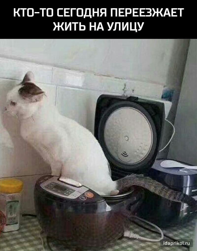КТОТО СЕГОДНЯ ПЕРЕЕЗЖАЕТ ЖИТЬ НА УЛИЦУ Чідт д Шаргі ты и А іі
