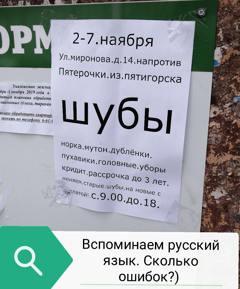 Упмироновад14напротив ПЯТЕРОЧКИ И3ПЯТИ ГОРСКа Хиаэісаеммг иипьц арм налбря гтмда пси шими обратит нишкоими блохи шарами ш шщішбШпь кашица щшшшщшсшіщшіфы ___ Вспоминаем рУССКИЙ язык Сколько ошибок