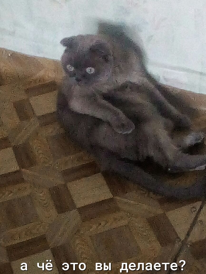 ачё это вы делаете