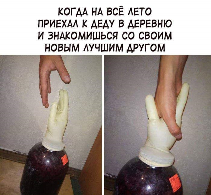 КОГ АА НА ВСЁ АЕТО ПРИЕХАА К АЕАУ В АЕРЕВНЮ И ЗНАКОМИШЬСЯ СО СВОИМ НОВЫМ ЛУЧШИМ ДРУГ ОМ