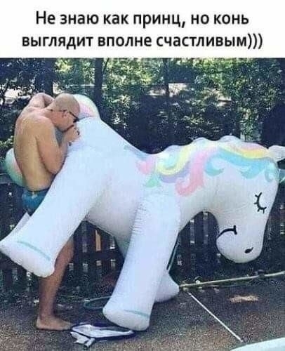 Не знаю как принц но конь выглядит вполне счастливым