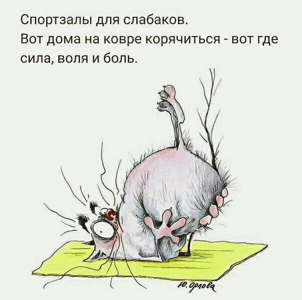 Спортзалы для слабаков Вот дома на ковре корячиться вот где сила воля и боль