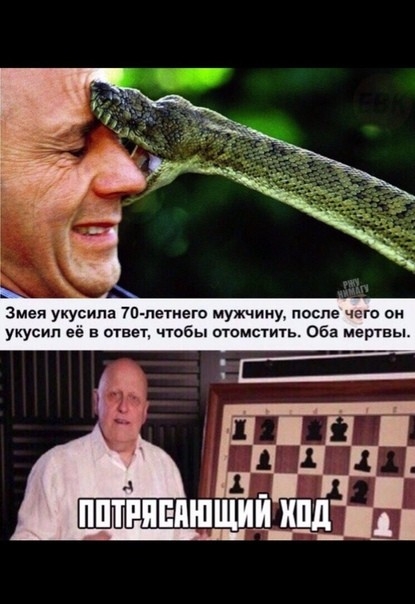 Змея укусила 7П петего мужчину после чего он укусил её в ответ чтобы отомстить Оба мертвы